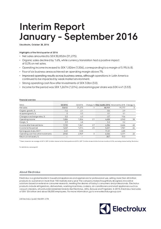 interim report