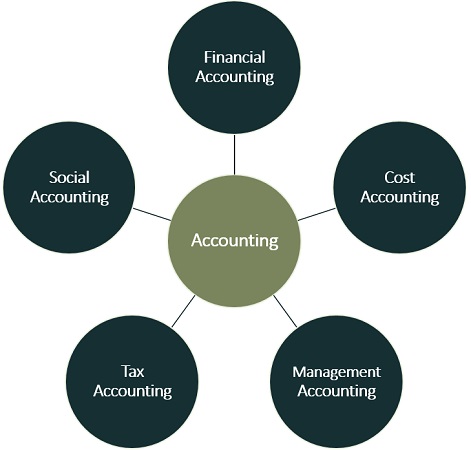 purpose of accountant