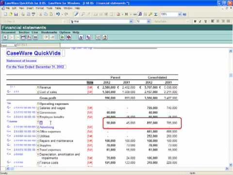 financial statement audit